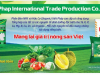 Phân Bón Chất Lượng Cao Cho Nông Dân: Tăng Năng Suất Và Chất Lượng Cây Trồng