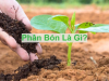 Phân bón là gì? Phân loại và vai trò trong nông nghiệp