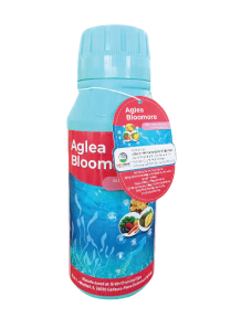 AGLEA BLOOMORE