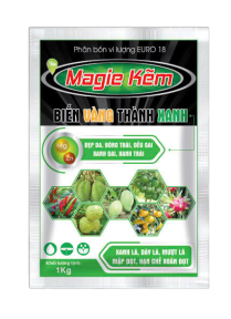 MAGIE KẼM