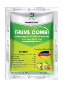 TRUML COMBI