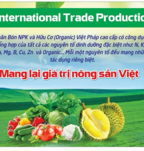 Phân Bón Chất Lượng Cao Cho Nông Dân: Tăng Năng Suất Và Chất Lượng Cây Trồng