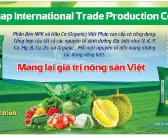Phân Bón Chất Lượng Cao Cho Nông Dân: Tăng Năng Suất Và Chất Lượng Cây Trồng