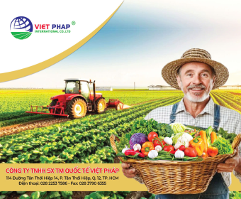 Top 3 Công Ty Cung Cấp Phân Bón Uy Tín Tại Long An